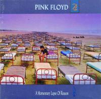 A Momentary Lapse Of Reason